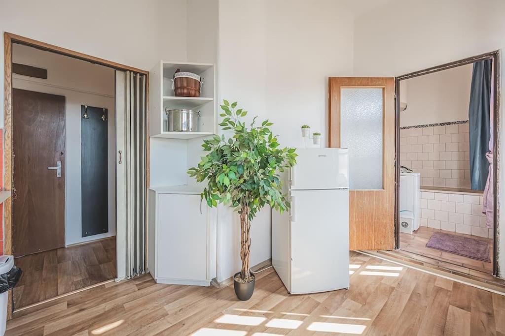 Carolina'S Romantic Apartment Hradec Králové 外观 照片